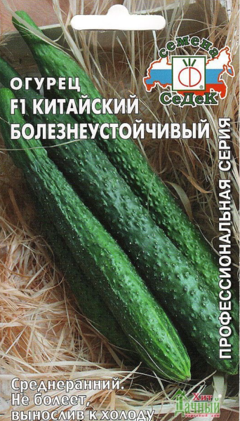 Огурец Китайский болезнеустойчивый