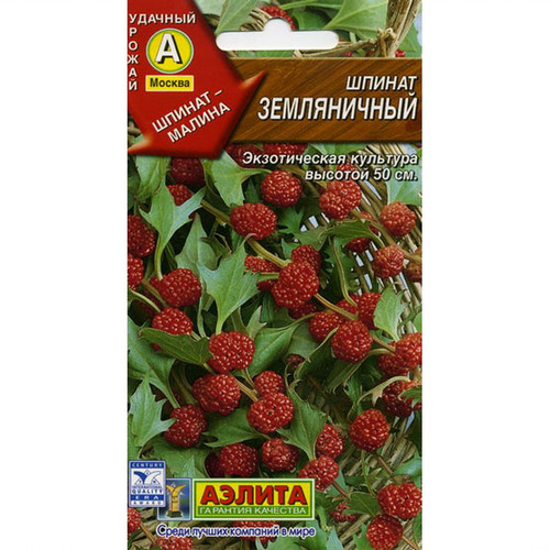 Семена земляничного шпината