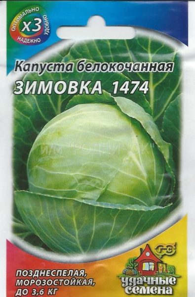 Сорт белокочанной Зимовка 1474