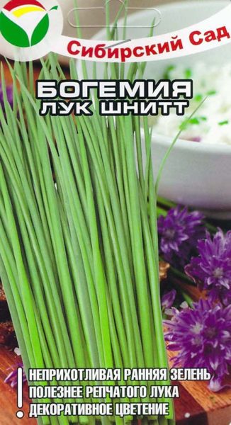 Сорт шнитт-лука Богемия