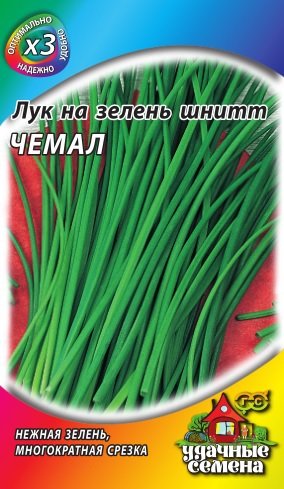 Сорт шнитт-лука Чемал