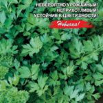 Сорт листового сельдерея Самурай
