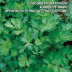 Сорт листового сельдерея Захар