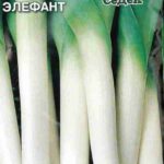 Семена порея от СеДек
