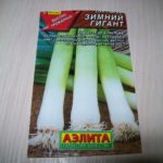 Семена лука-порея фирмы Аэлита