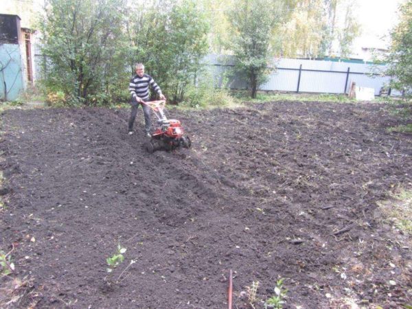 Вспашка почвы культиватором