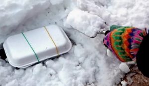 Контейнер для закаливания семян в снегу
