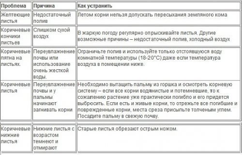 Болезни растения