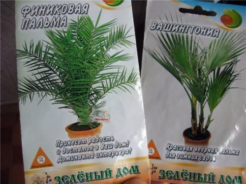 Семена в продаже