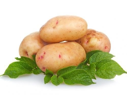 картофель аврора