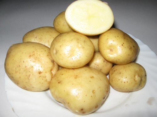 картофель невский