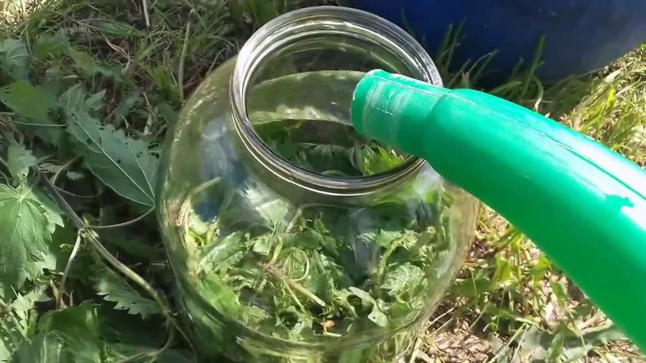 удобрения для домашних цветов
