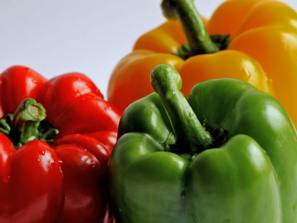 При неустойчивом климате лучше посадить ранние сорта