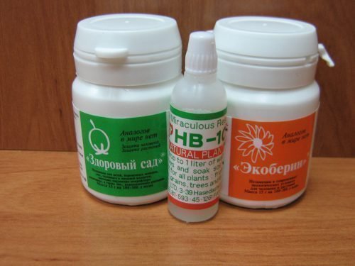 Здоровый сад
