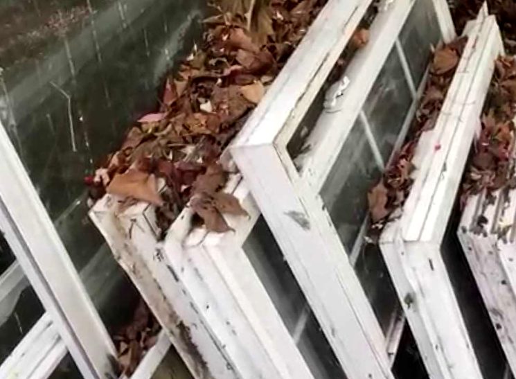 Парник из оконных рам