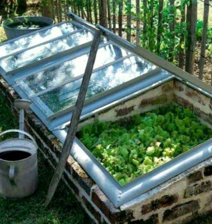 Парник из старых оконных рам