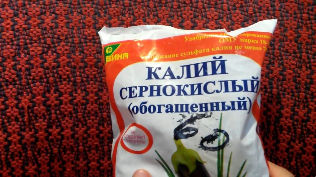 чем подкормить гортензию во время цветения