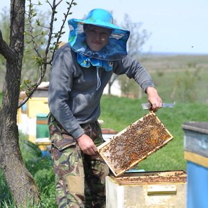 Как зарегистрировать пасеку: какие нужны документы