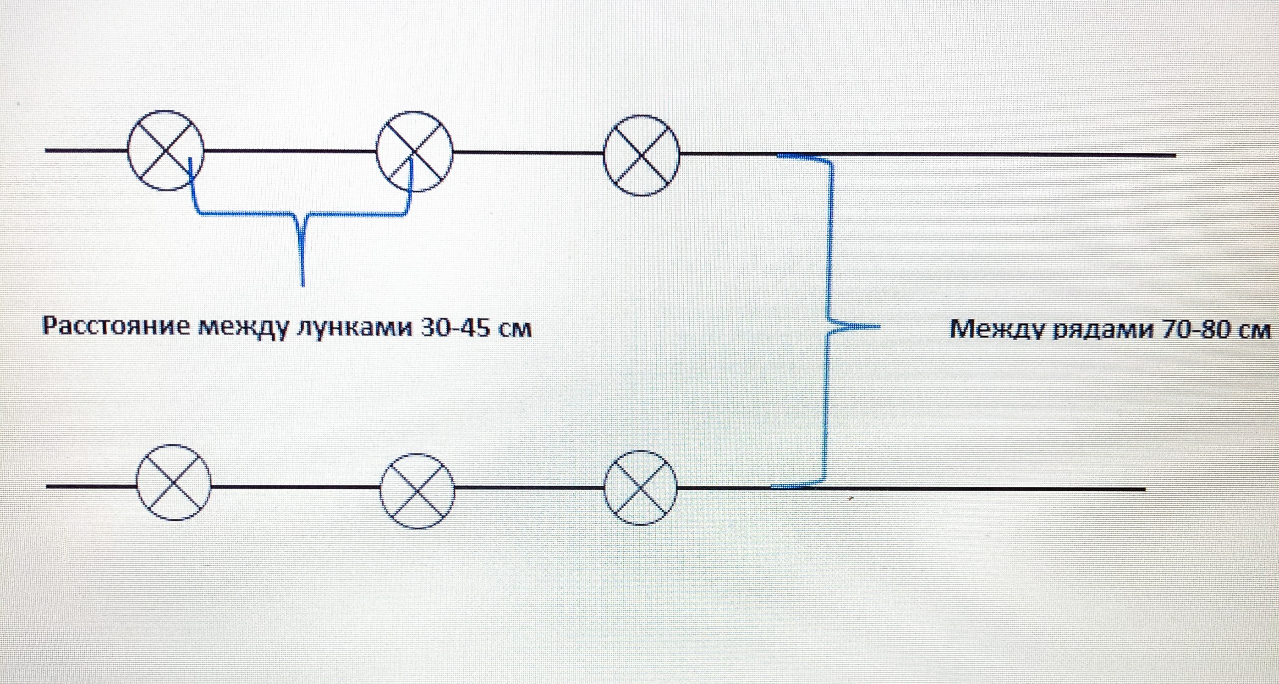 Расстояние между рядами и кустами