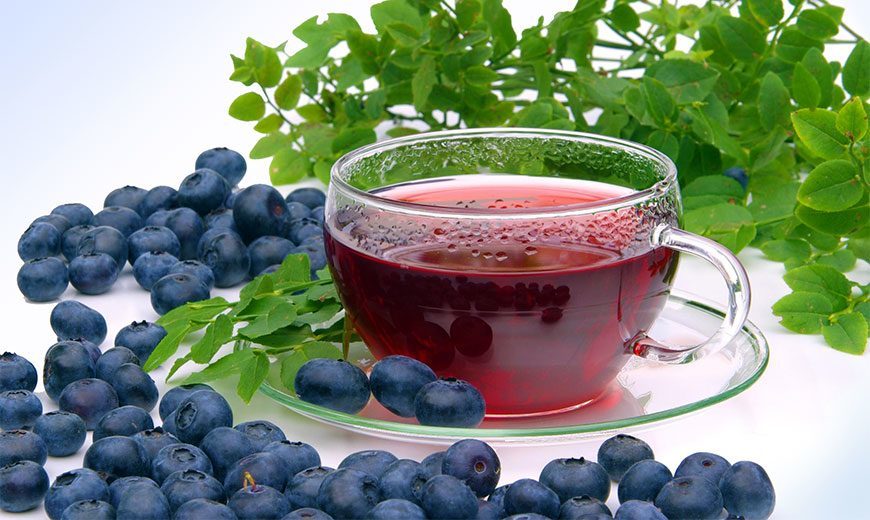 Отвар из садовой черники