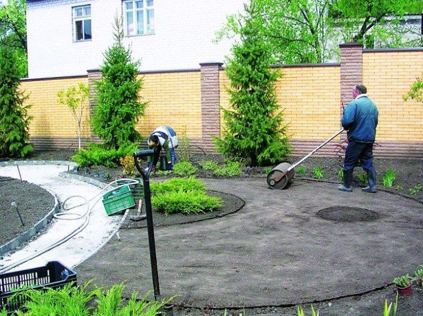 Планировка газона фото