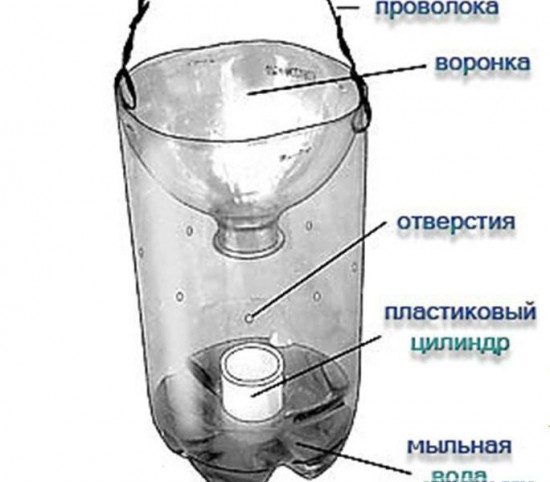 Мыльная ловушка для хруща