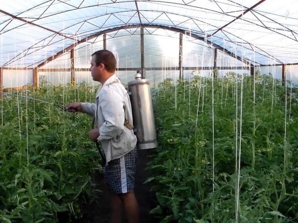 Обработка растений химикатами