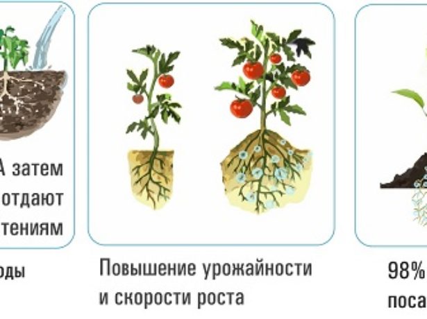 Преимущества гидрогеля
