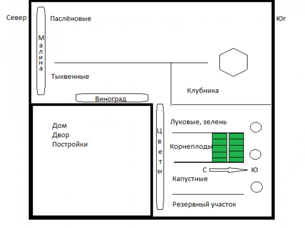 Расположение на огороде грядок и рядов