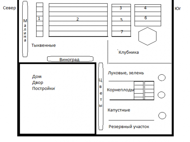 Схема размещения культур на огороде