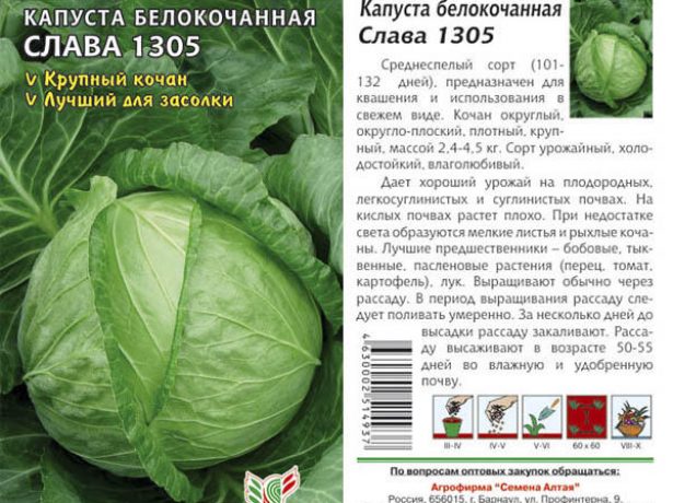 Семена капусты Слава