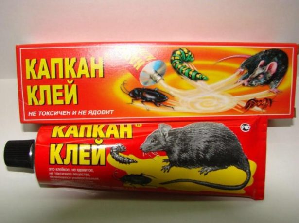 Клей для ловушек на мышей