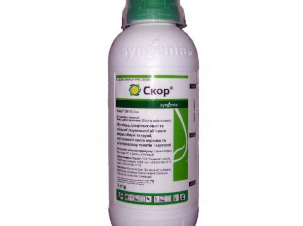 Скор