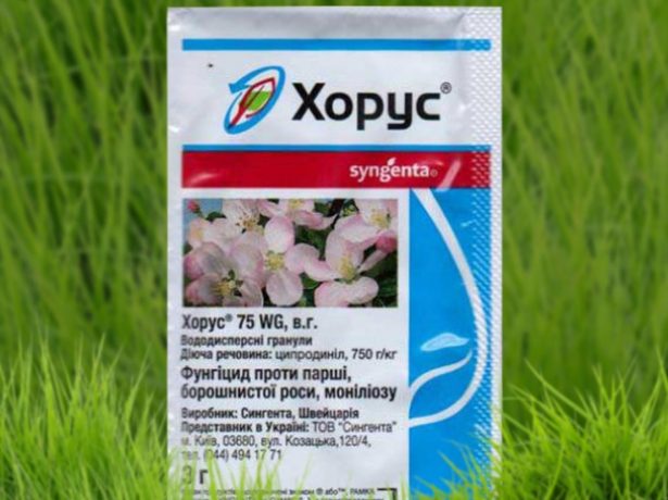 Хорус