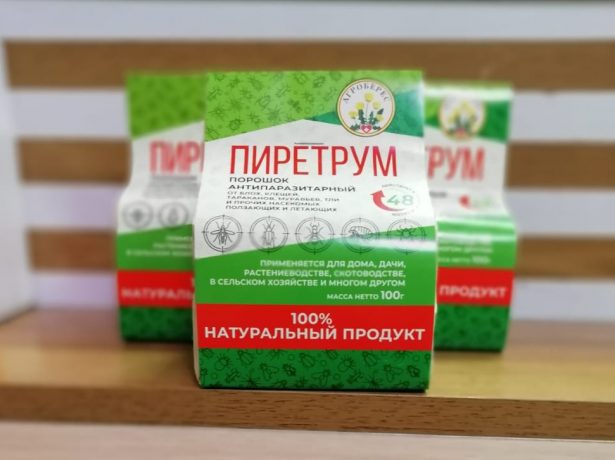 Пиретрум