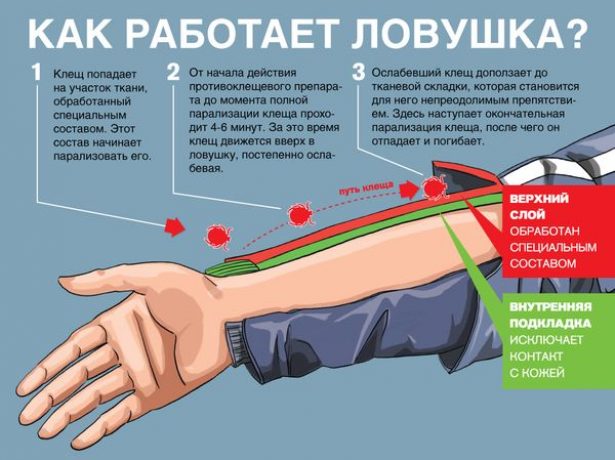 Ловушки для клещей в костюме