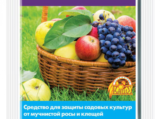 Тиовит Джет