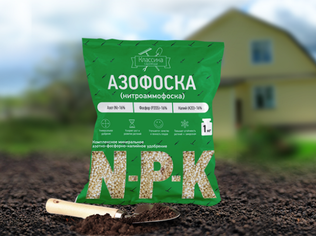 На фото азофоска