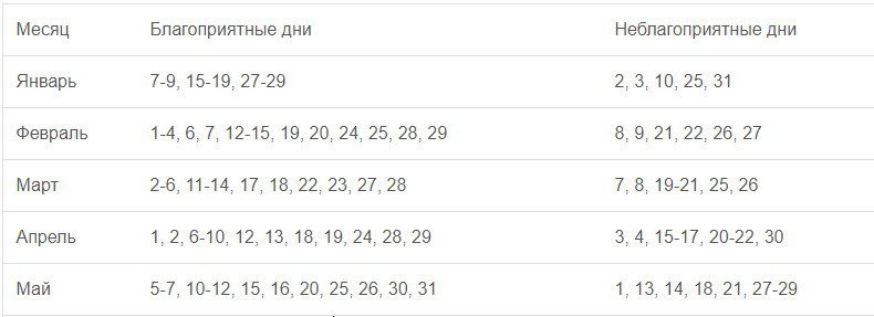 Как сажать тюльпаны весной луковицы в открытый грунт