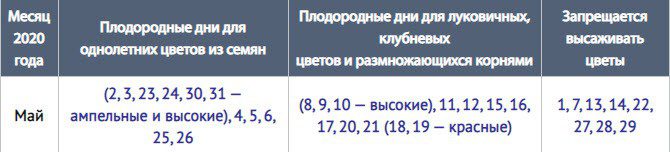 Благоприятные дни для посадки цветов в мае 2020