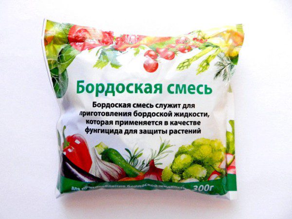 Посадка гладиолусов весной: когда и как посадить?