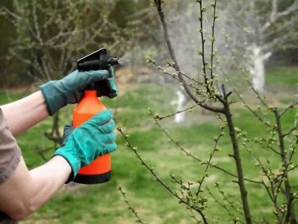 Лунный посадочный календарь на апрель 2020 года садовода и огородника