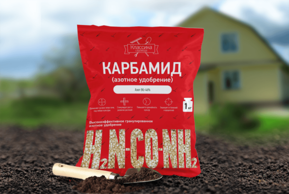 Подкормка малины весной до цветения