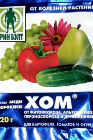 Уход за крыжовником: все секреты для больших урожаев Уход за крыжовником: все секреты для больших урожаев