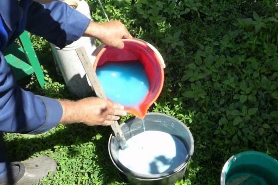 Как повысить урожайность смородины
