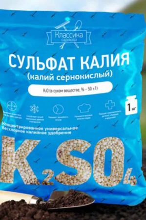 Уход за крыжовником: все секреты для больших урожаев Уход за крыжовником: все секреты для больших урожаев