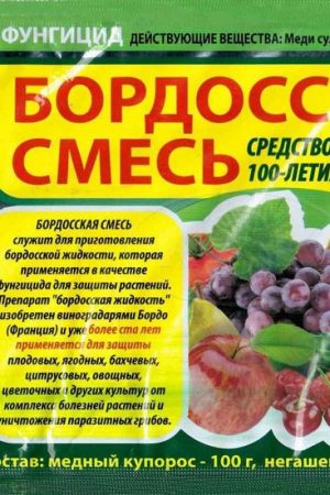 Уход за крыжовником: все секреты для больших урожаев Уход за крыжовником: все секреты для больших урожаев