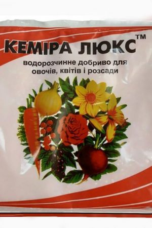 Уход за виноградом в августе