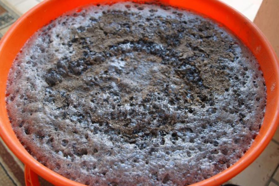 Дачные работы в июне - самые важные дела