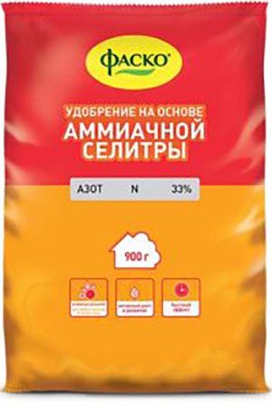 Как повысить урожайность смородины